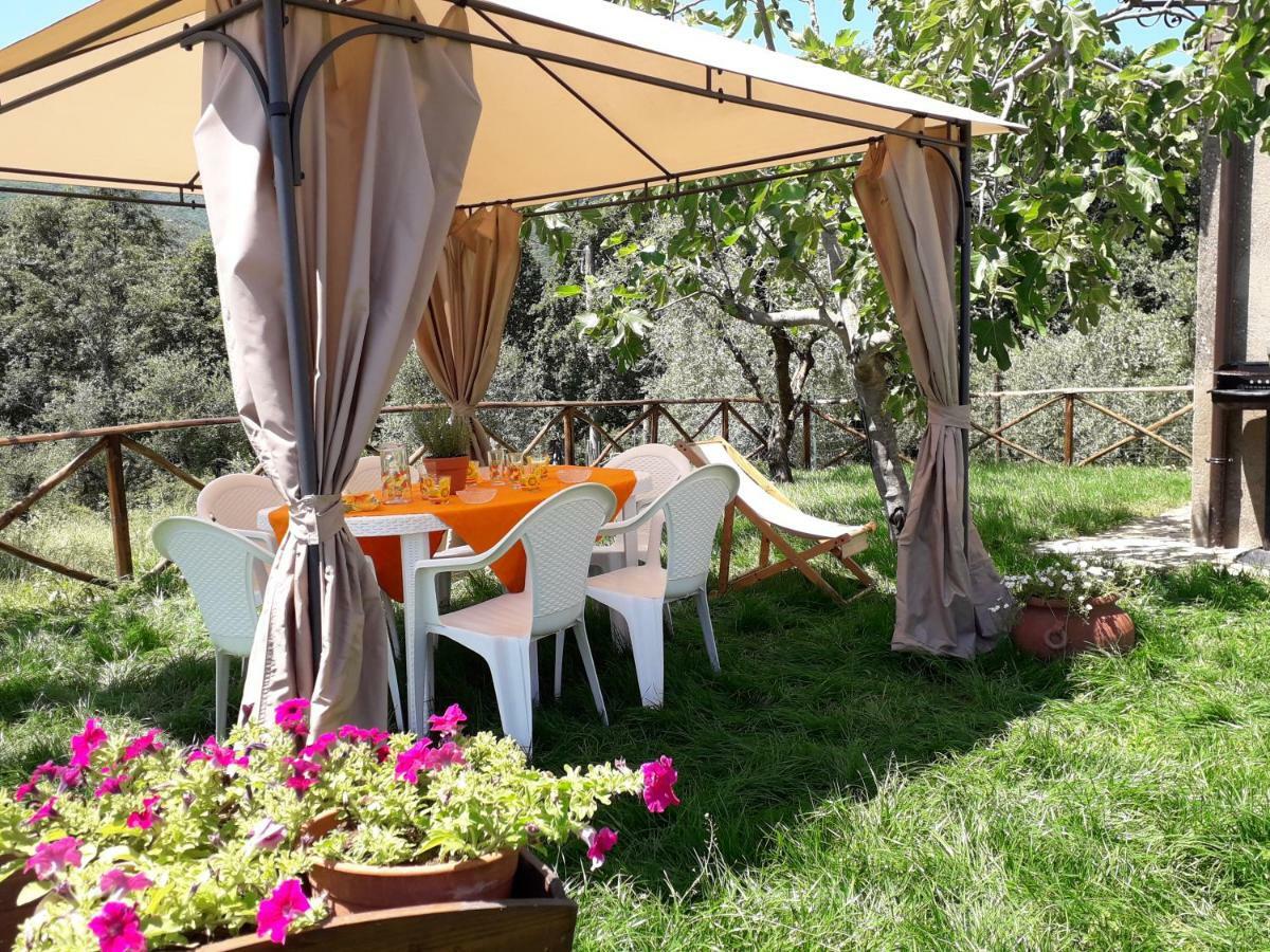Alle Preci Country House Santa Restituta ภายนอก รูปภาพ