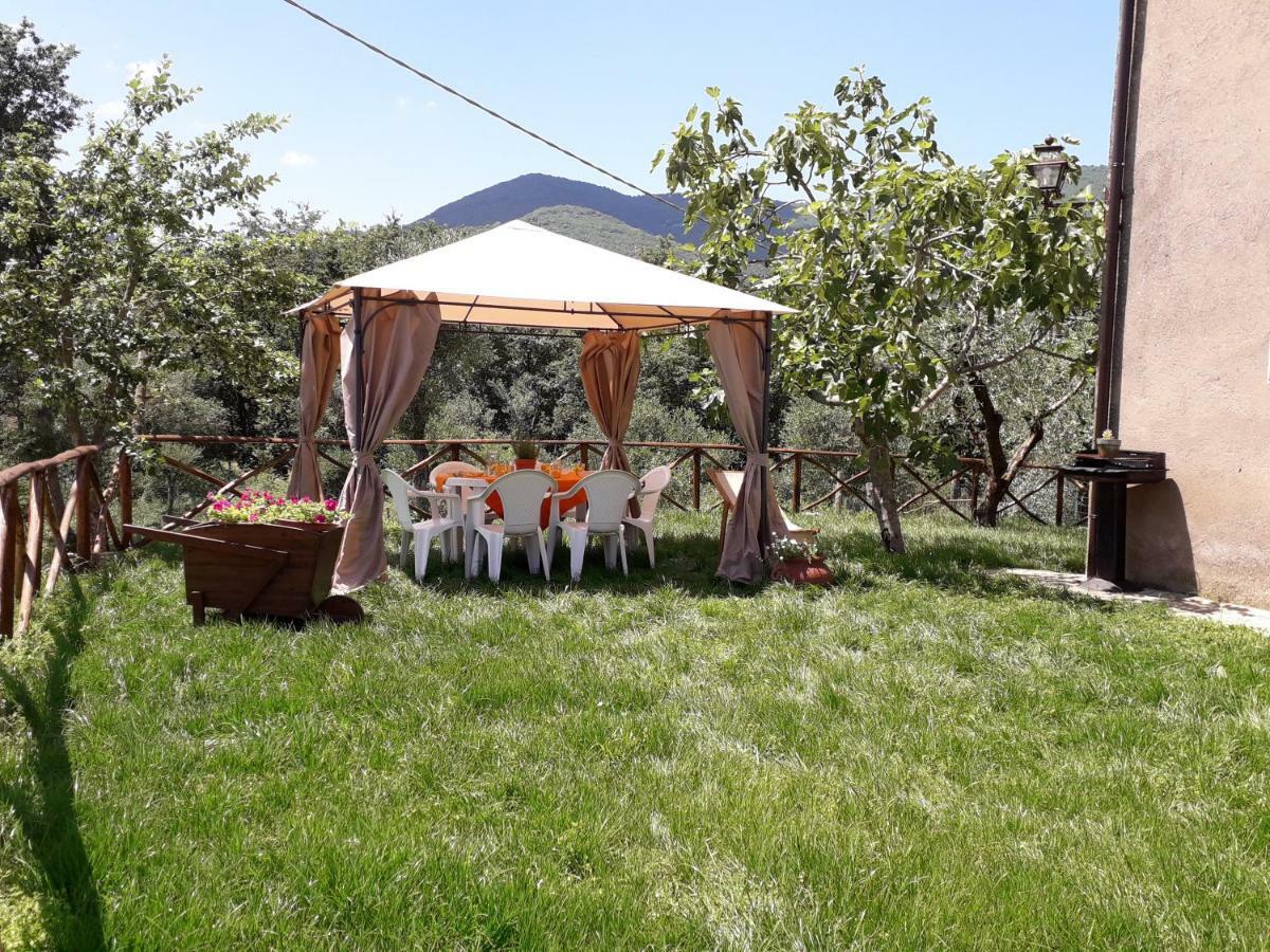 Alle Preci Country House Santa Restituta ภายนอก รูปภาพ